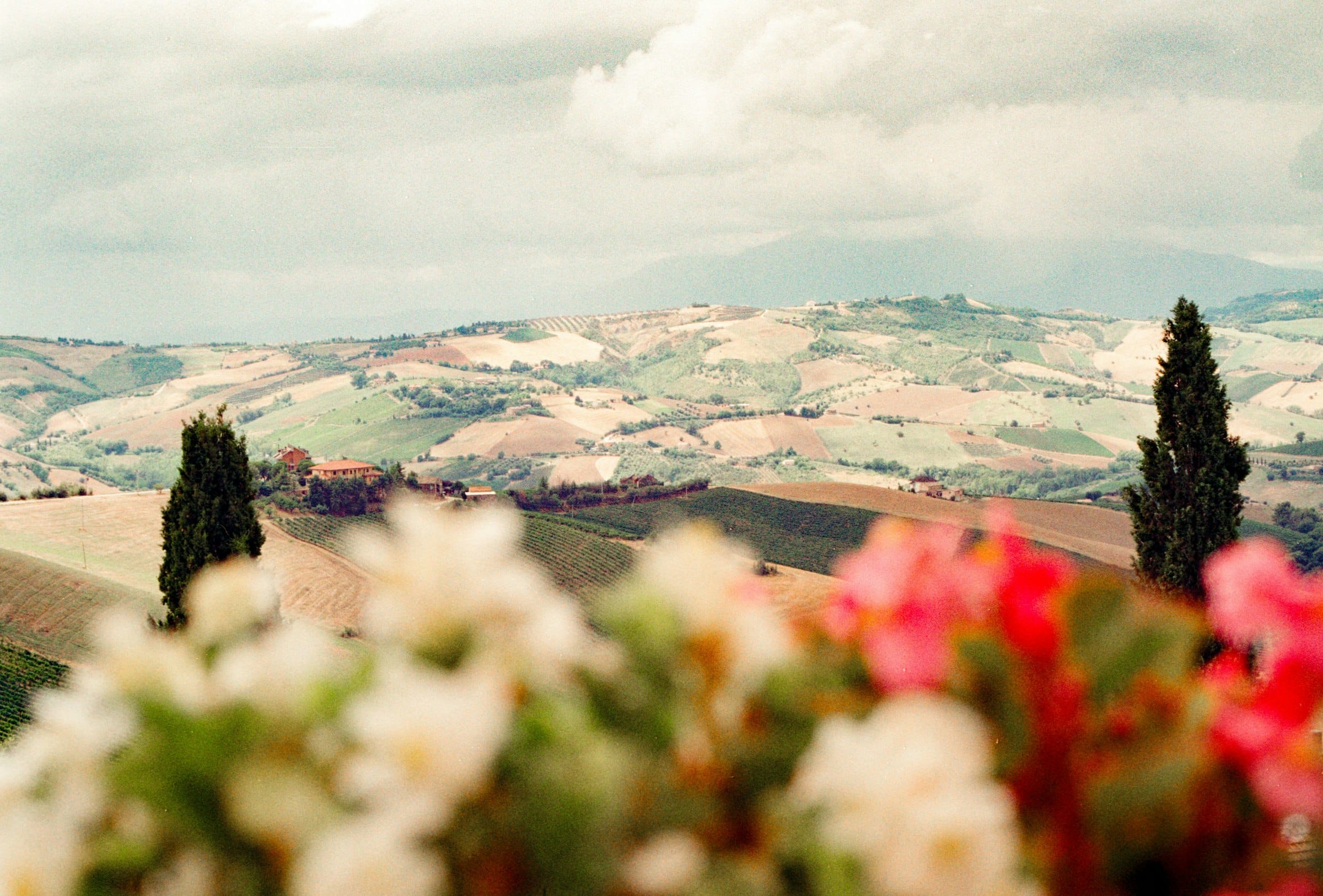 Tuscan rolling hills with cypress trees, Italy